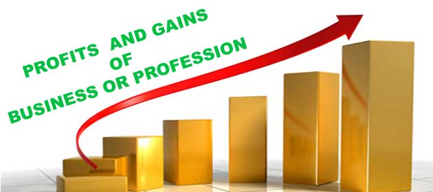  Profits and Gains of Business or Profession